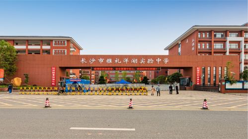 洋湖一线 商业大爆发 学校扎堆 小户型大开间,产品超给力