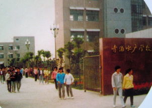 90 的上海人看完眼角都湿了 因为再也回不去了