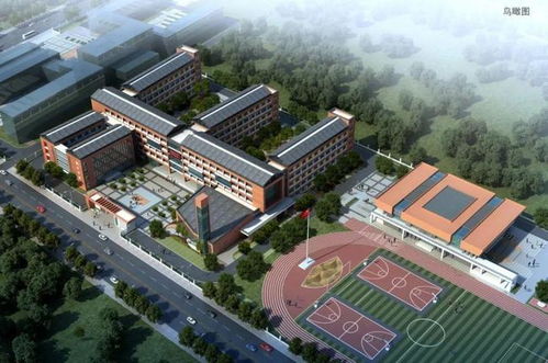 桑林中学 高标准 严要求 打造教育精品工程