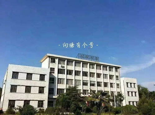 向塘中学记忆