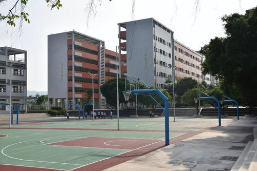 书香校园,筑梦食安 高明区食品安全科普暨反走私宣传进校园系列活动 第八站 佛山市高明区杨和镇杨和中学
