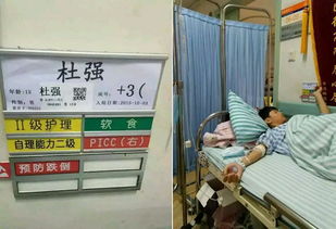 我拿什么拯救您 我白血病的孩子