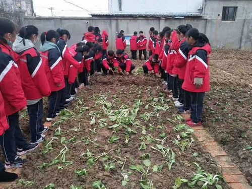 天长市关塘中学的个人展示页