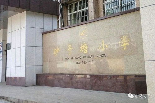 国庆卖爆 长沙市一中 砂子塘 长沙王牌双子星 一飞冲天
