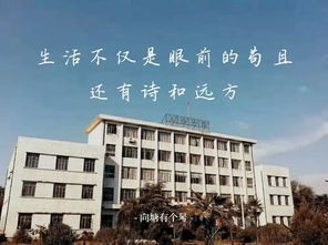 向中,你是我此生渡不过的第三彼岸