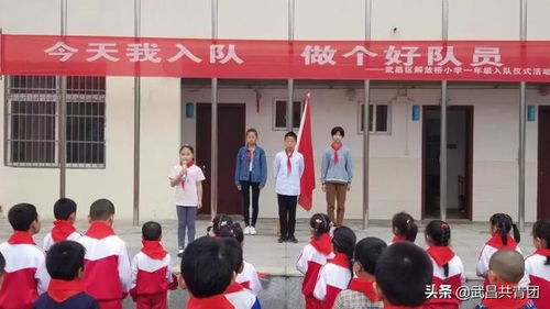 少先队员在行动 别样的六一——记安徽省天长市关塘中学的节日奉献