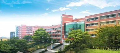 2018升学必备 家长如何为孩子选择最适合的成长路径？